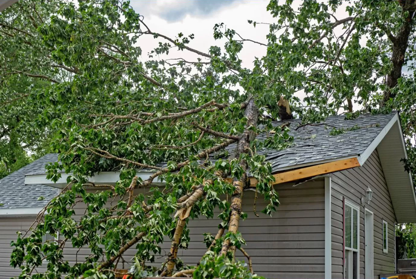 Storm Damage Repairs