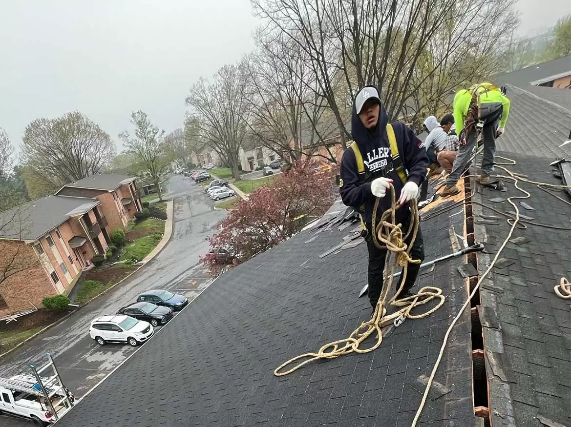 Shingles Hersey